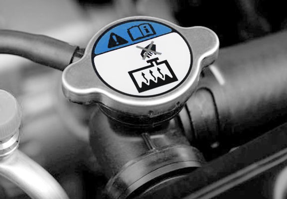 Antifreeze & Coolant